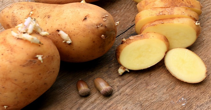Le patate germogliate si possono mangiare? Questa la verità