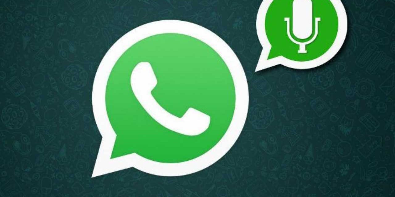 Whatsapp svolta epocale, cambiano i vocali: ecco in che modo