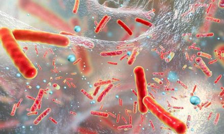 Legionella: cos’ è la malattia che ha ucciso Sassoli