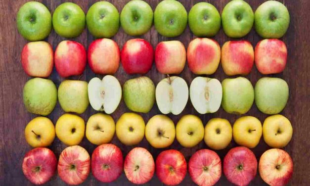 Mangiare la mela per abbassare il colesterolo: il metodo che pochi conoscono, è infallibile